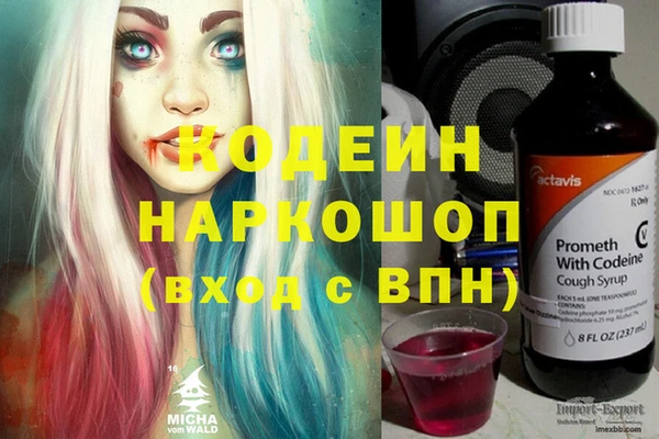 бошки Инта