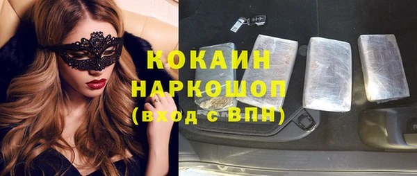 бошки Инта