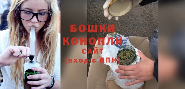 бошки Инта