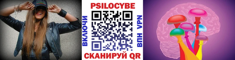 что такое   Ишим  Псилоцибиновые грибы Psilocybe 