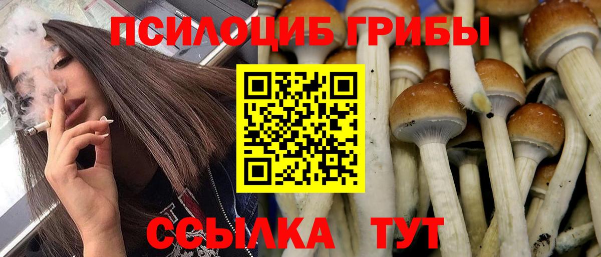 Галлюциногенные грибы мухоморы  Вход с VPN  наркотики  Ишим 