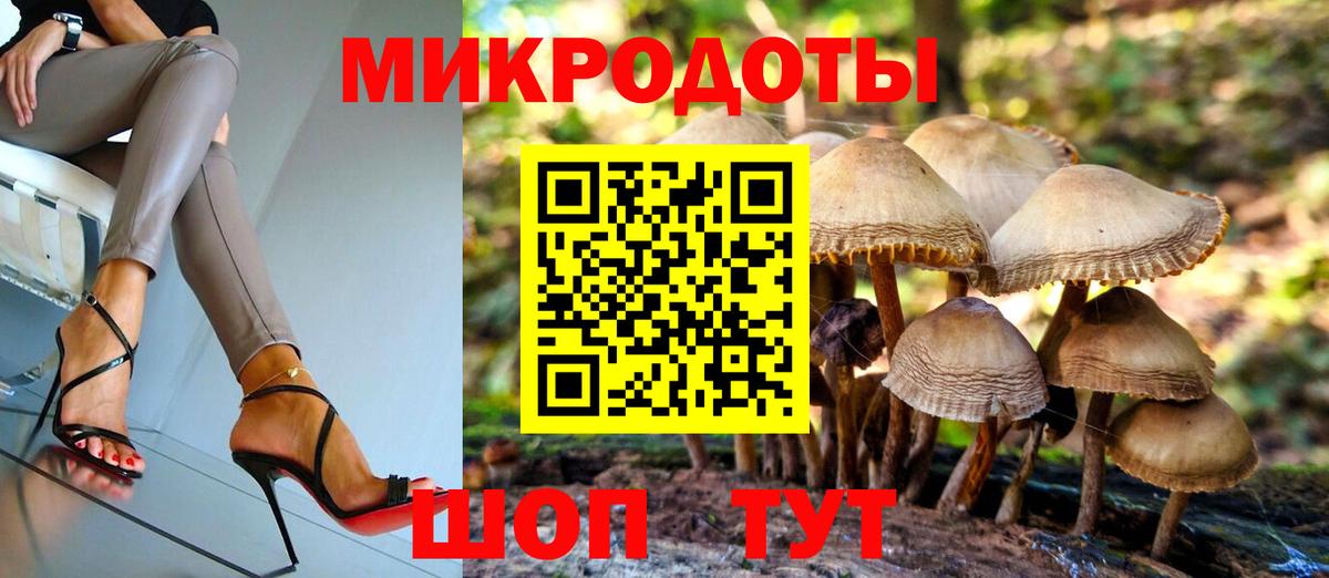 Галлюциногенные грибы мухоморы Ишим